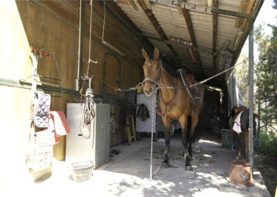 cheval-pension-aix-en-provence