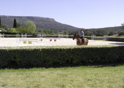 haras-aix-en-provence-ecurie-3