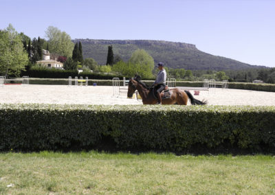 haras-aix-en-provence-ecurie