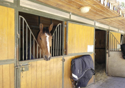 haras-chevaux-aix-en-provence