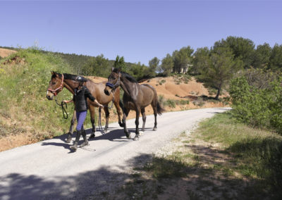 pension-chevaux-aix-en-provence-2