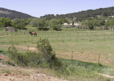 pre-chevaux-aix-en-provence